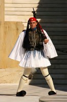 /album/a/a87-garda-hrob-vojina-cd-95-jpg/